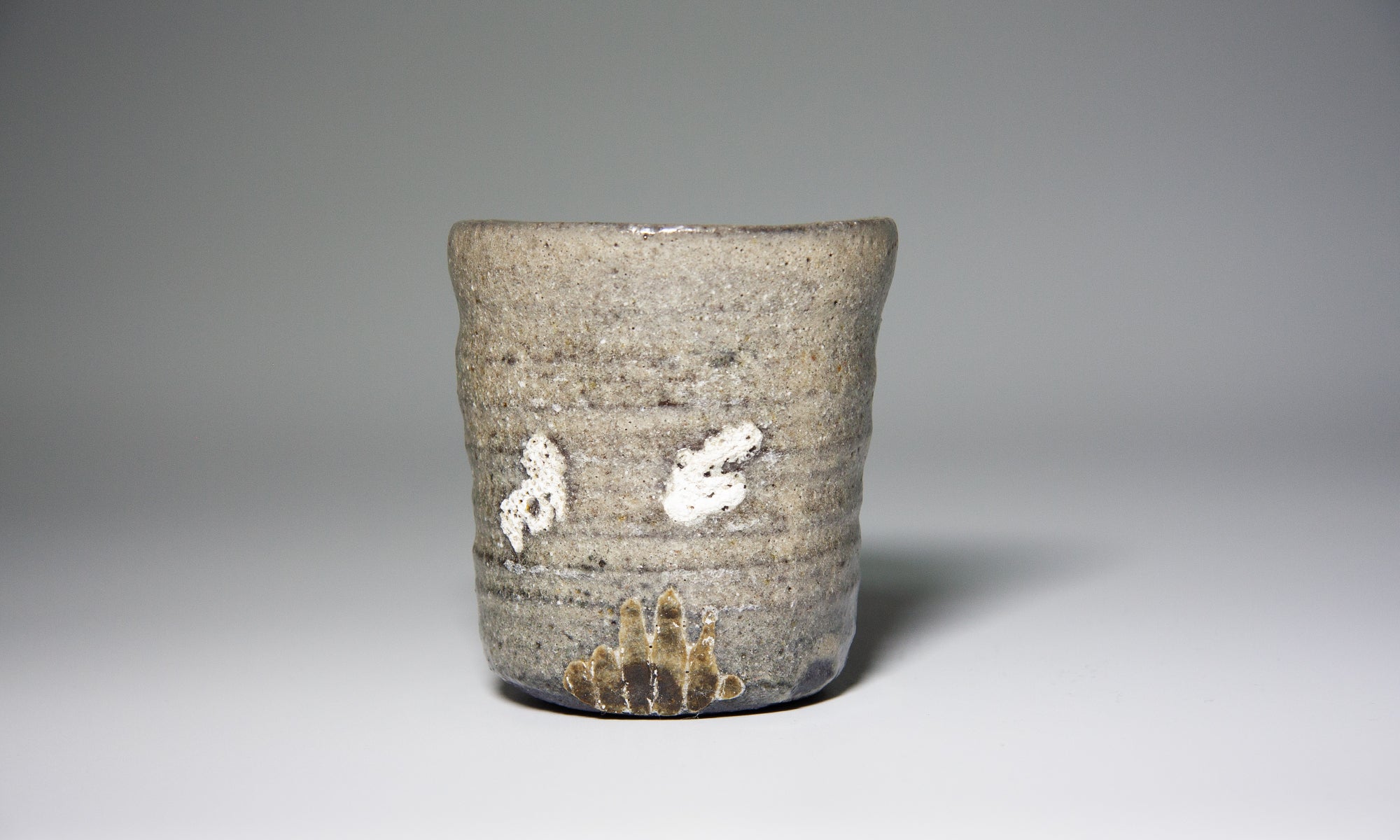 coral and shellfish mug