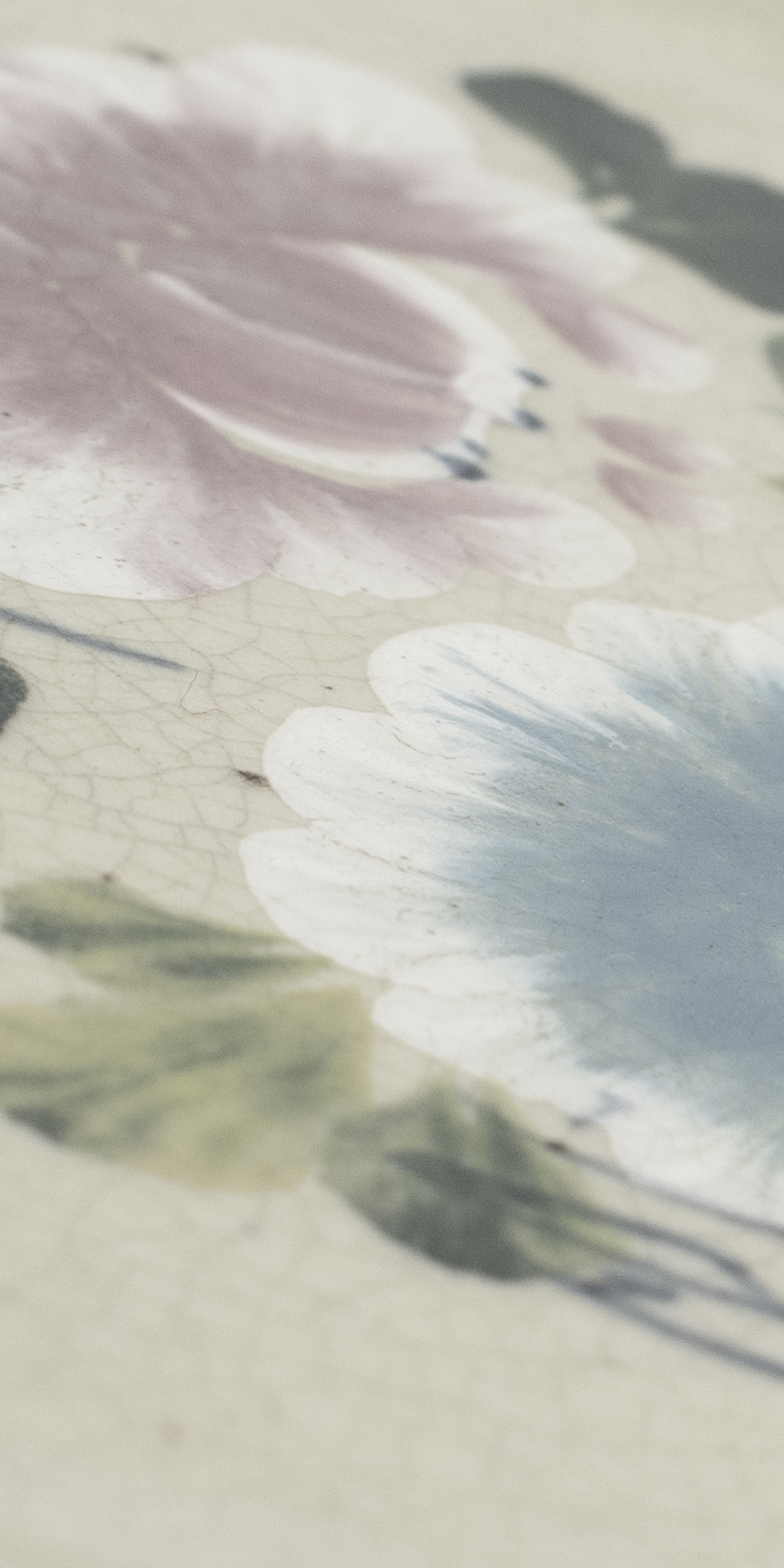 flower plate