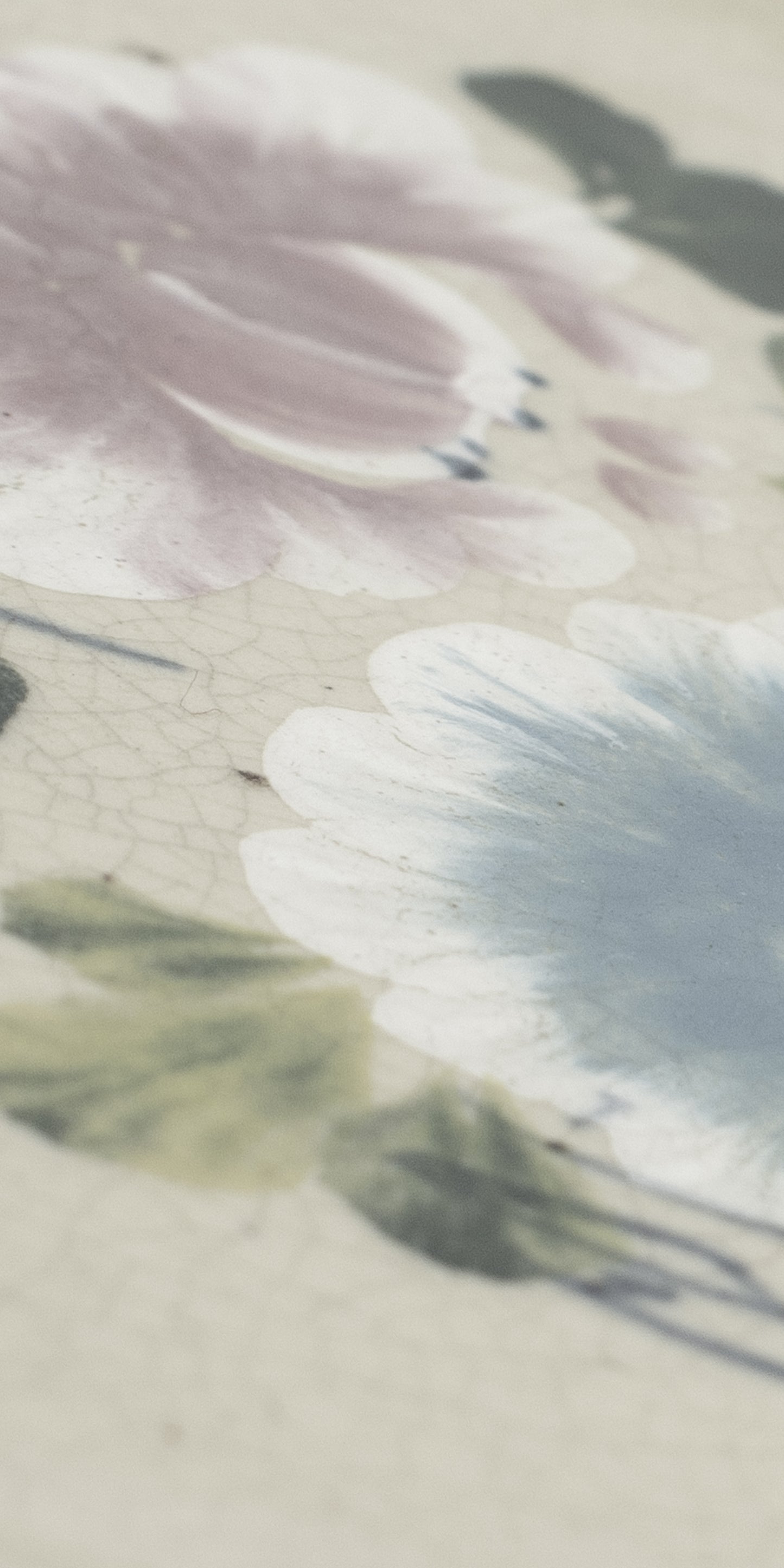 flower plate