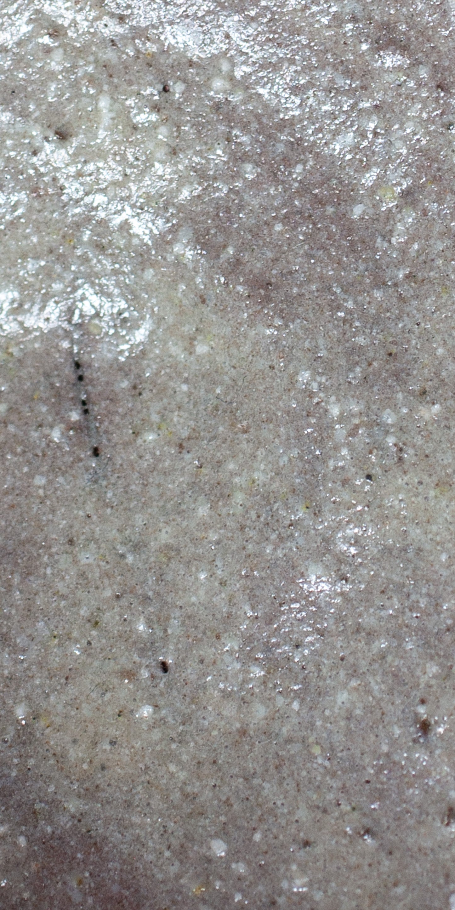 kamoshima pot